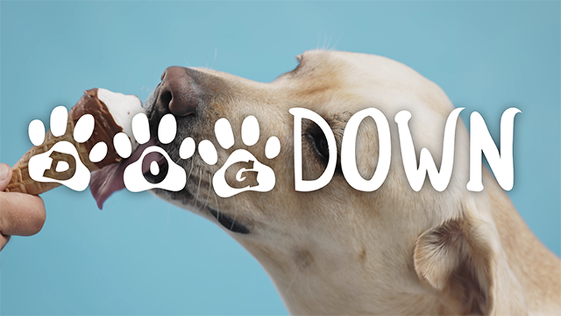 DogDown (A Dog Countdown)